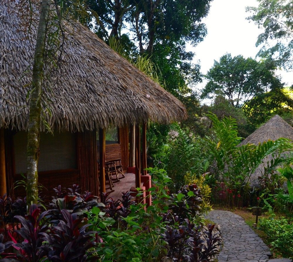 Luna Lodge Carate Экстерьер фото